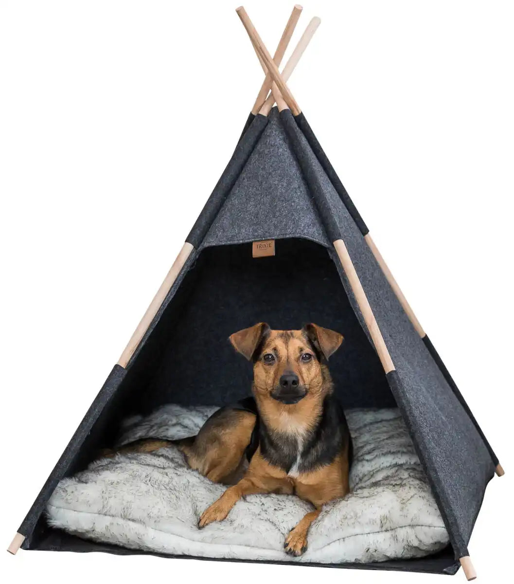 Höhle Tipi