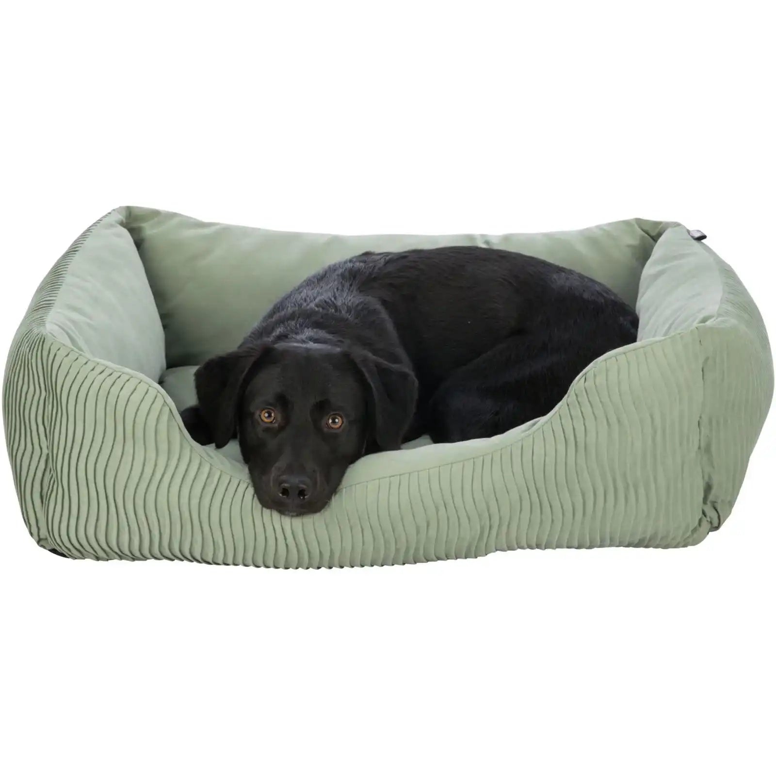 Bett Marley