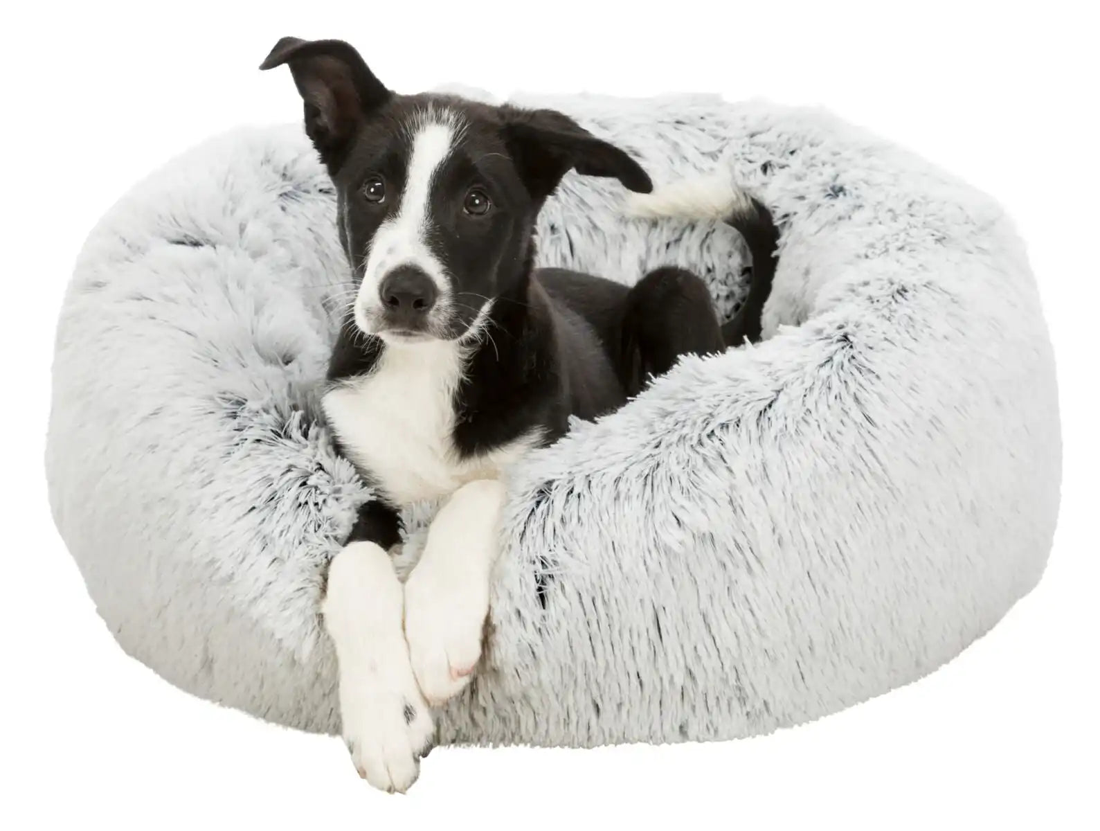 Bett Harvey