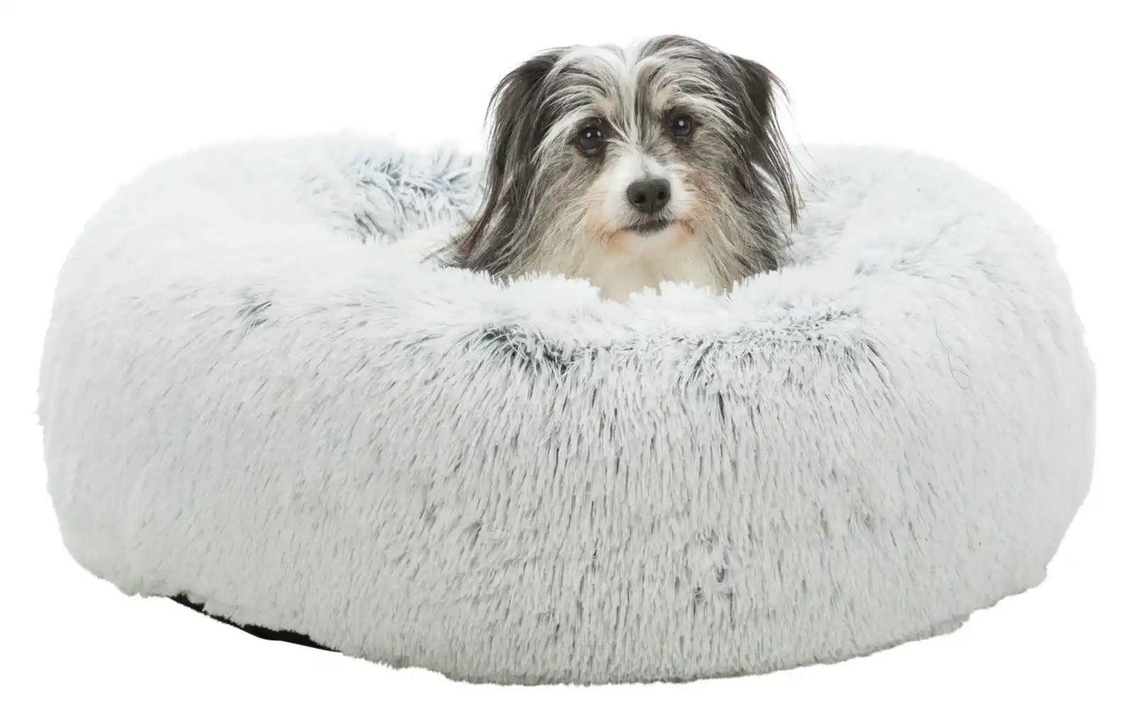 Bett Harvey