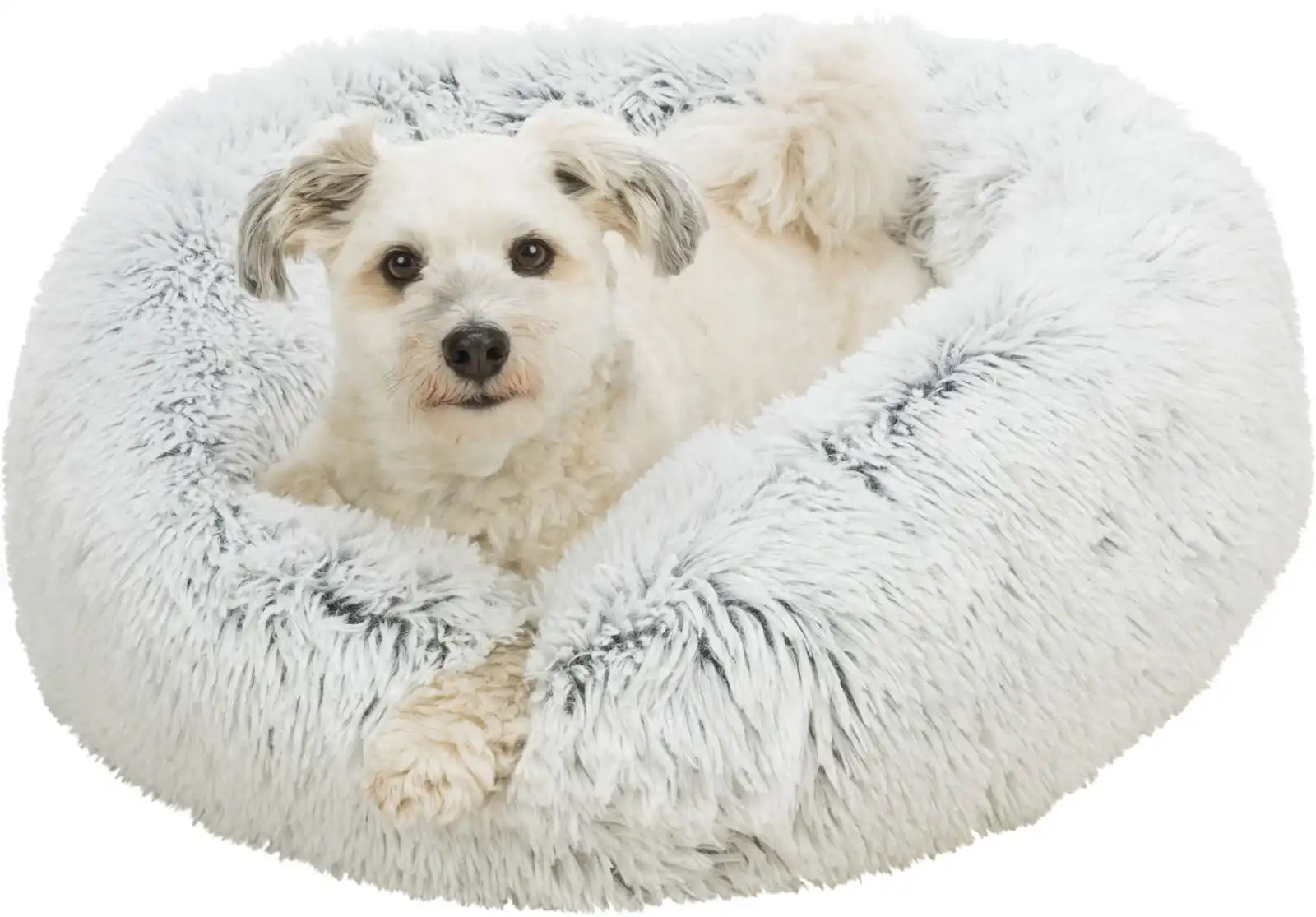 Bett Harvey