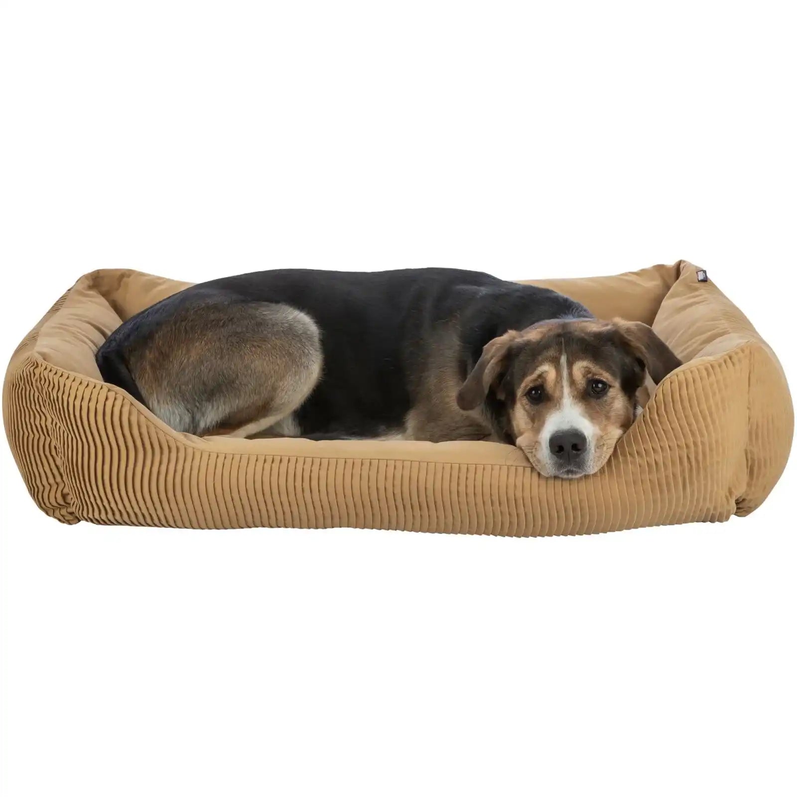 Bett Marley