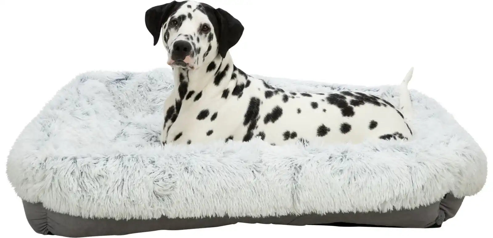 Bett Harvey