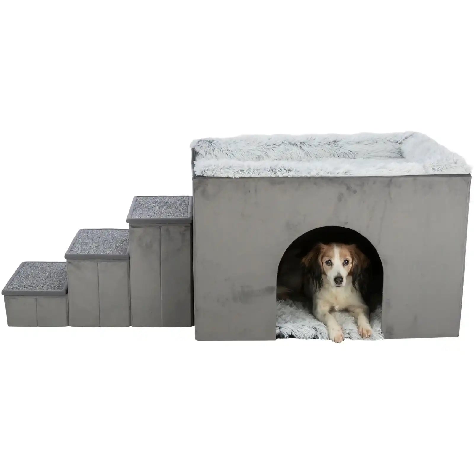 Höhle Harvey mit Treppe