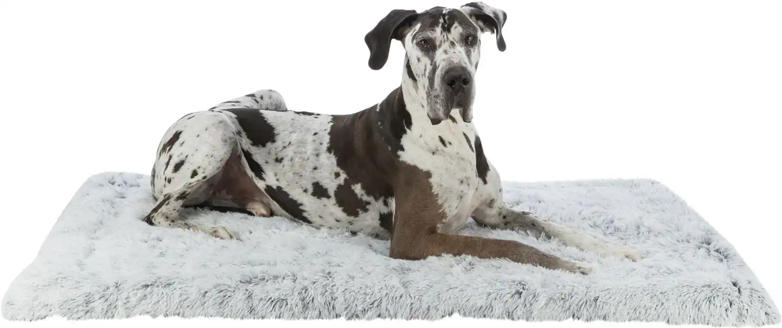 Liegematte Harvey