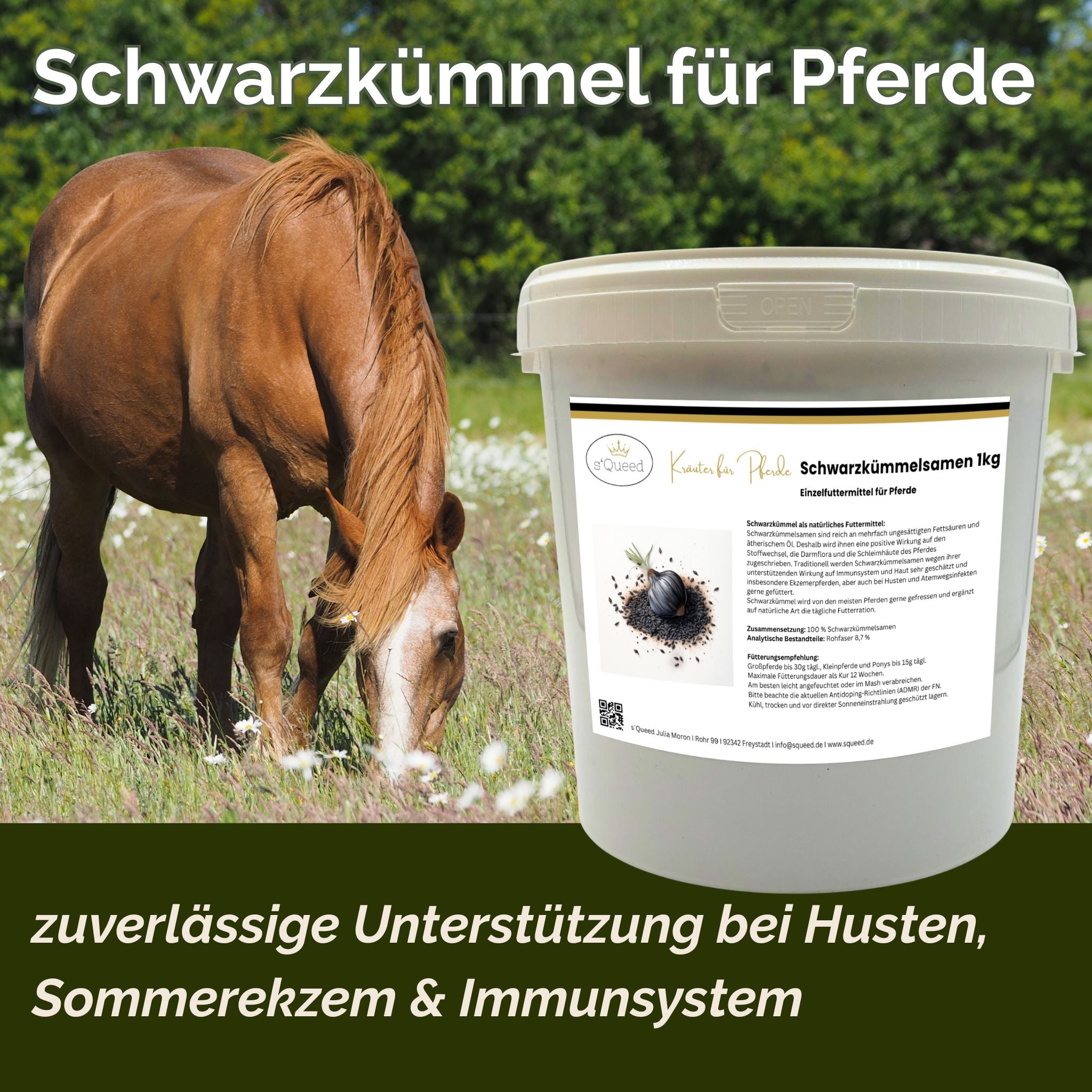 Schwarzkümmel Pferd - Hustenkräuter für Pferde - Immunkräuter