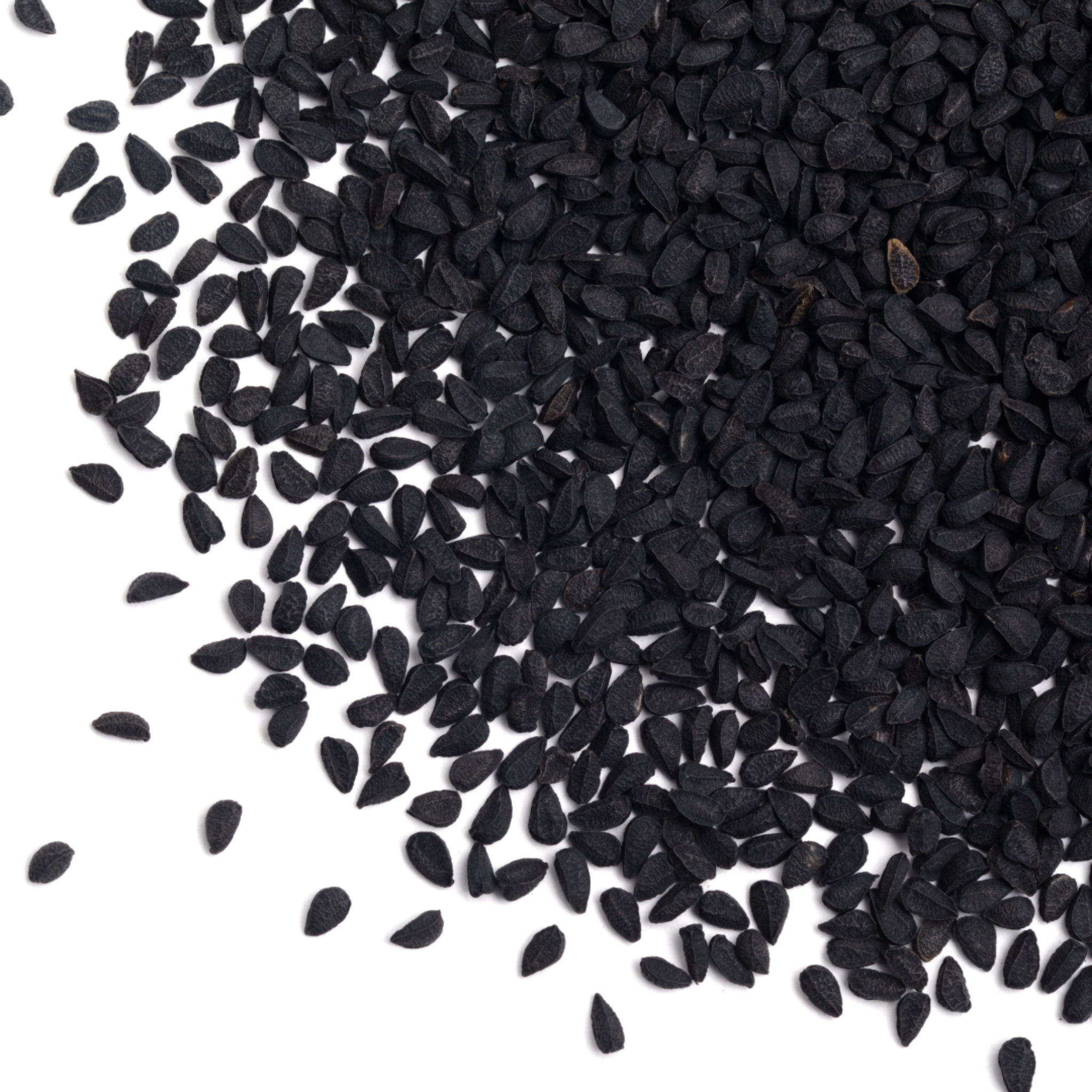 Schwarzkümmel Pferd - Hustenkräuter für Pferde - Immunkräuter