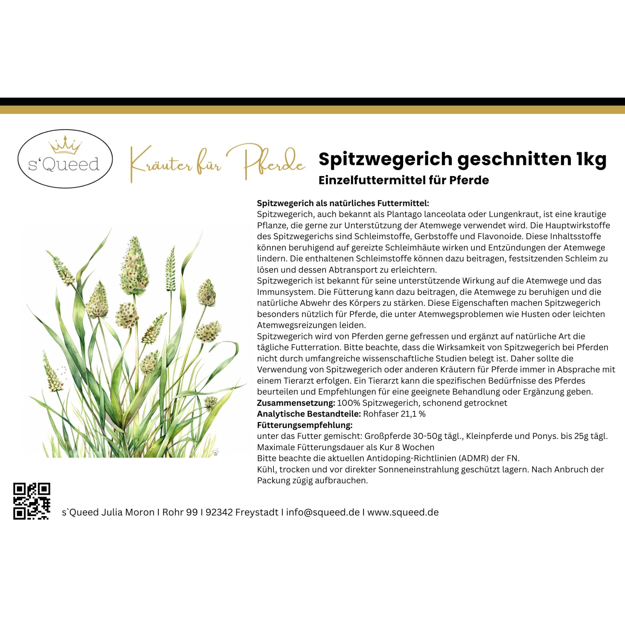 Spitzwegerich Pferd - Hustenkräuter für Pferde - Schleimlöser Pferd