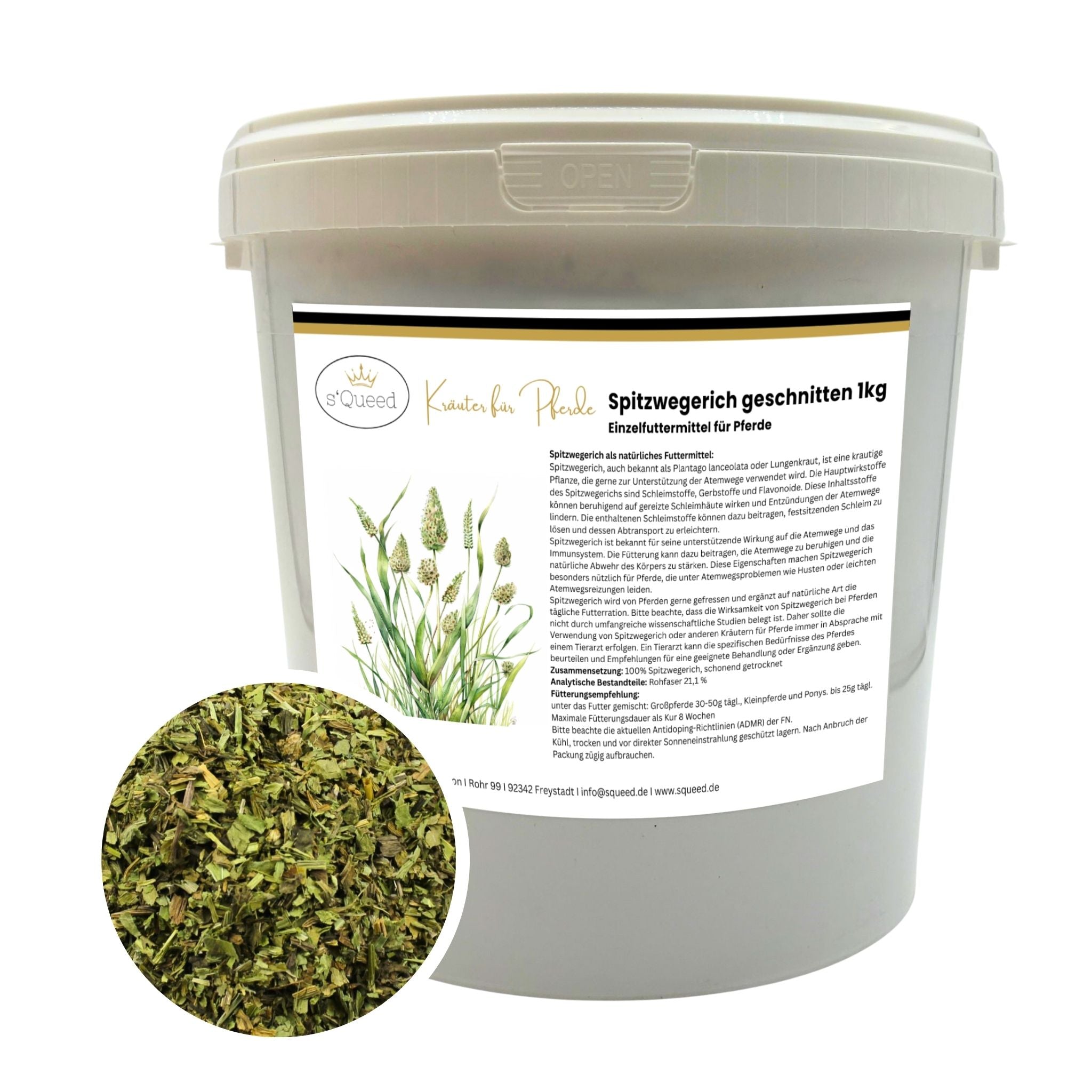 Spitzwegerich Pferd - Hustenkräuter für Pferde - Schleimlöser Pferd