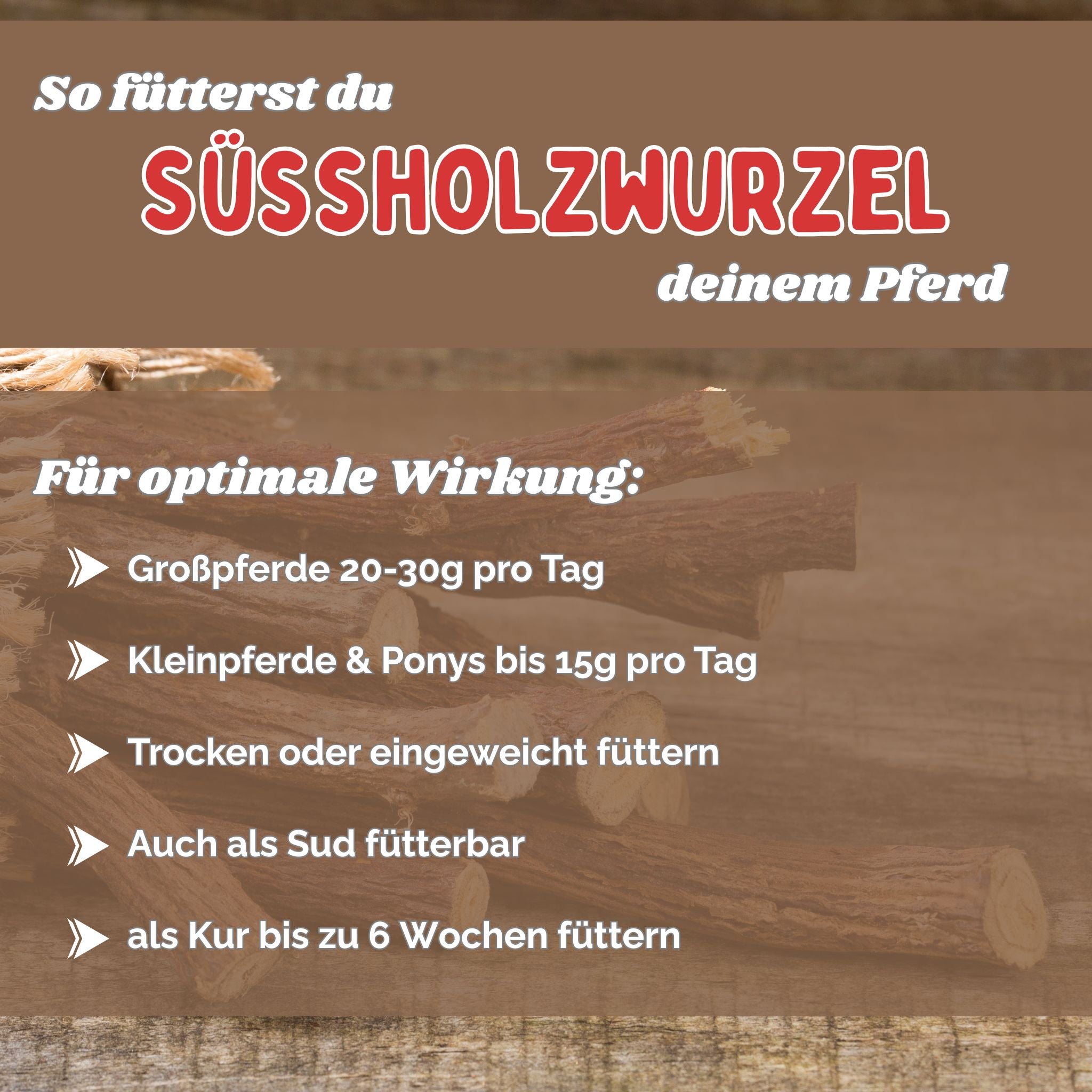 Süßholzwurzel Pferd - Hustenkräuter für Pferde - Magenkräuter Pferd