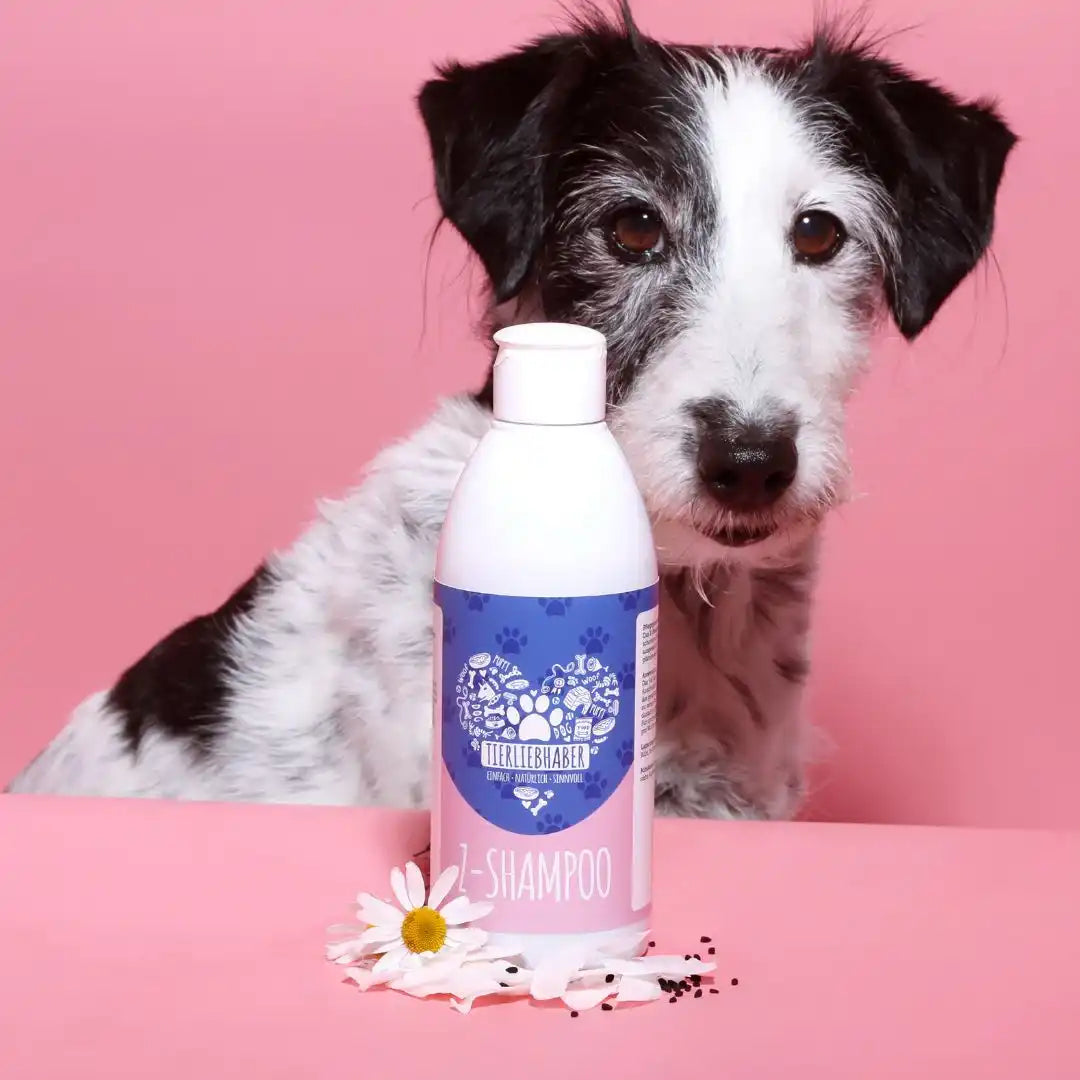 Z-Shampoo
