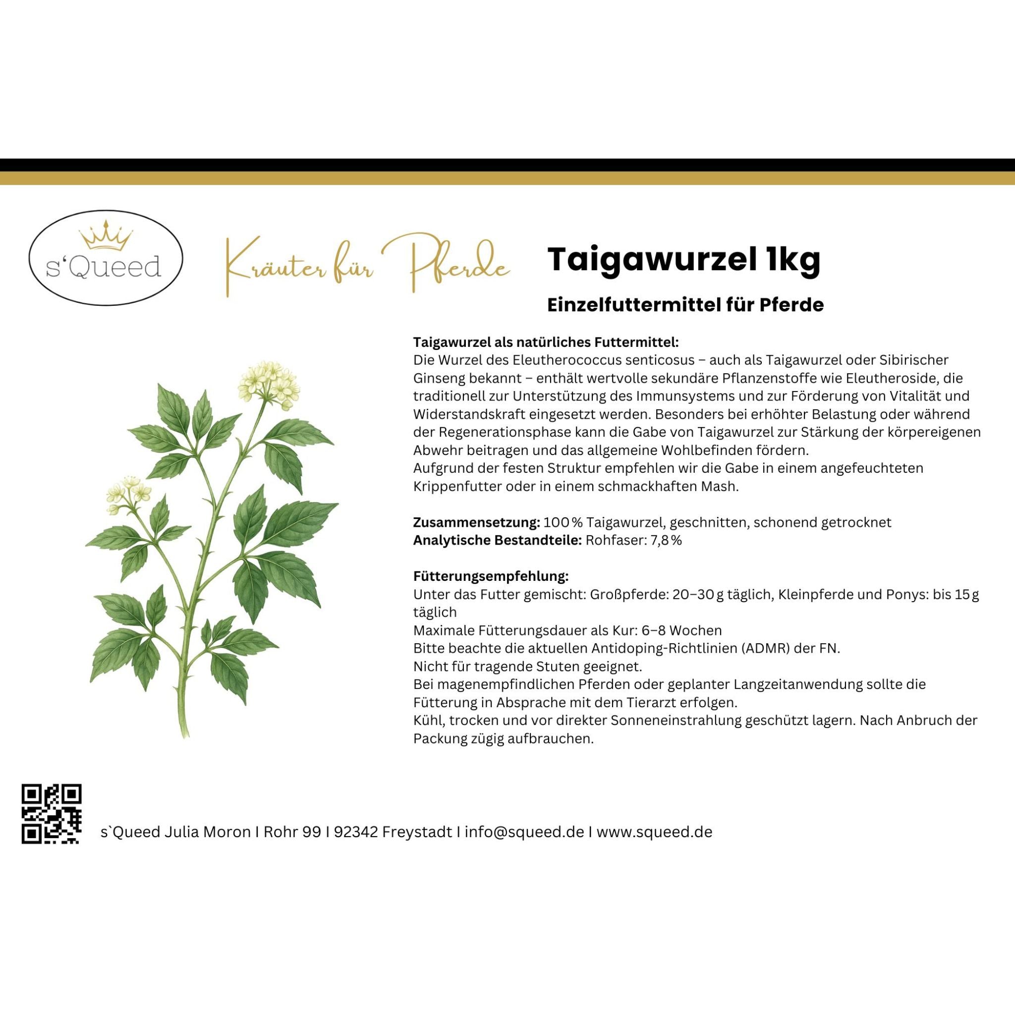 Taigawurzel Pferd - Immunsystem Pferd stärken