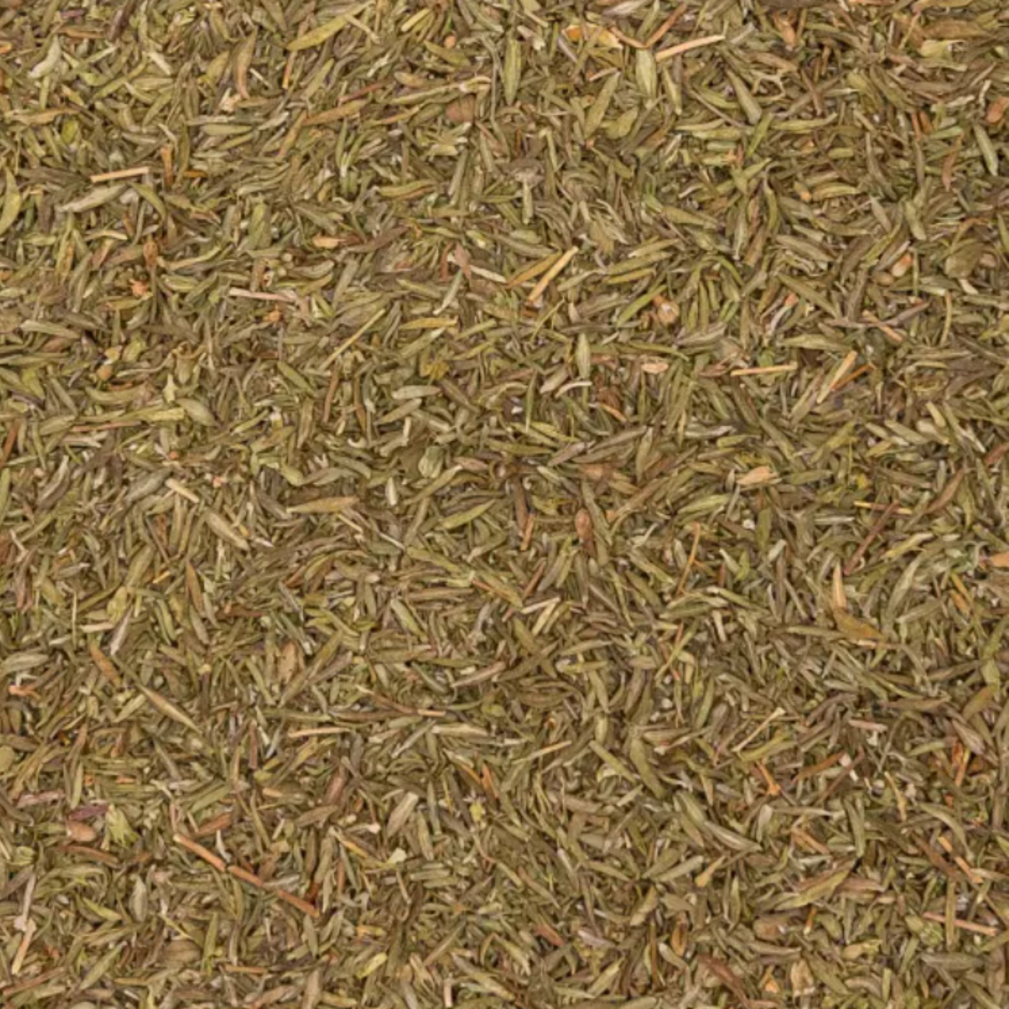 Thymian Pferd - Hustenkräuter für Pferde - Schleimlöser Pferd