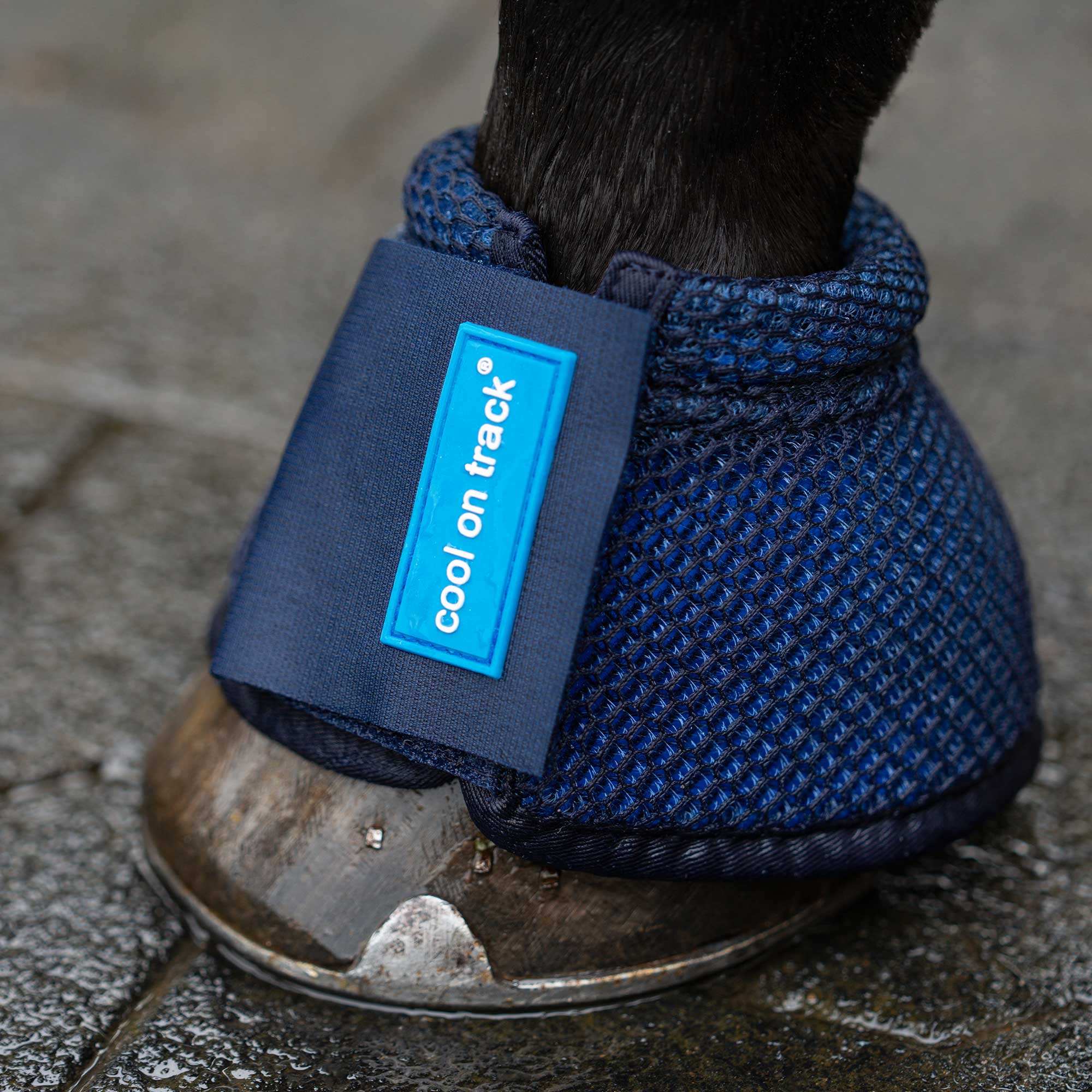 Cool on Track®️ Kühlende Hufglocken