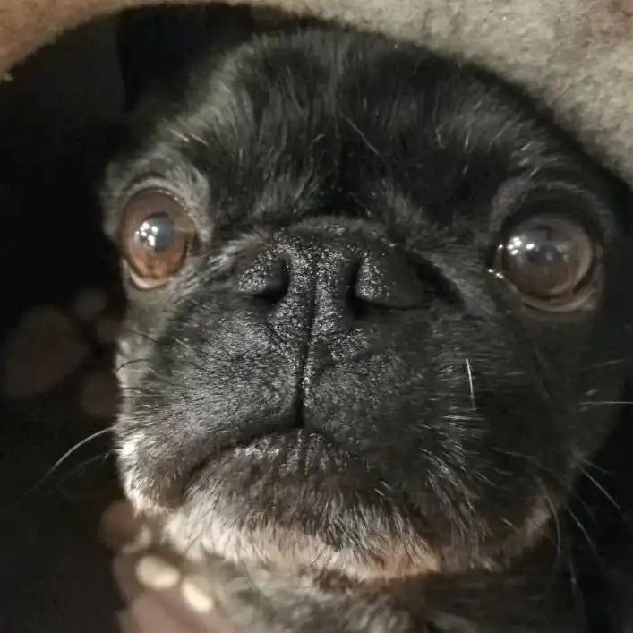 Nasenbutter Pflegestift