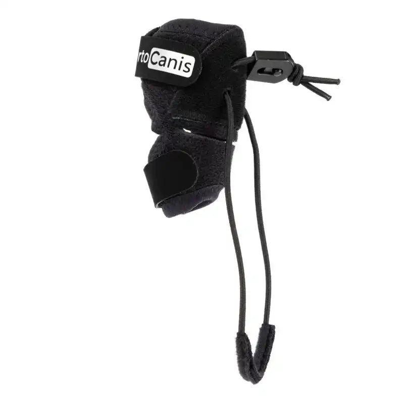 Bandage zur propriozeptiven Korrektur für Hunde