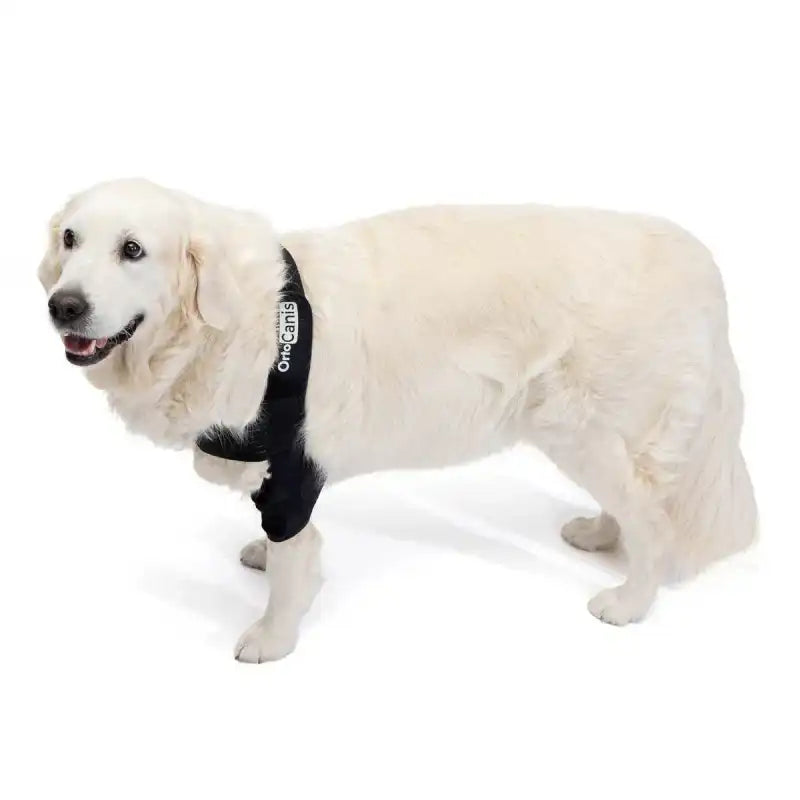 Ellenbogenorthese für Hunde