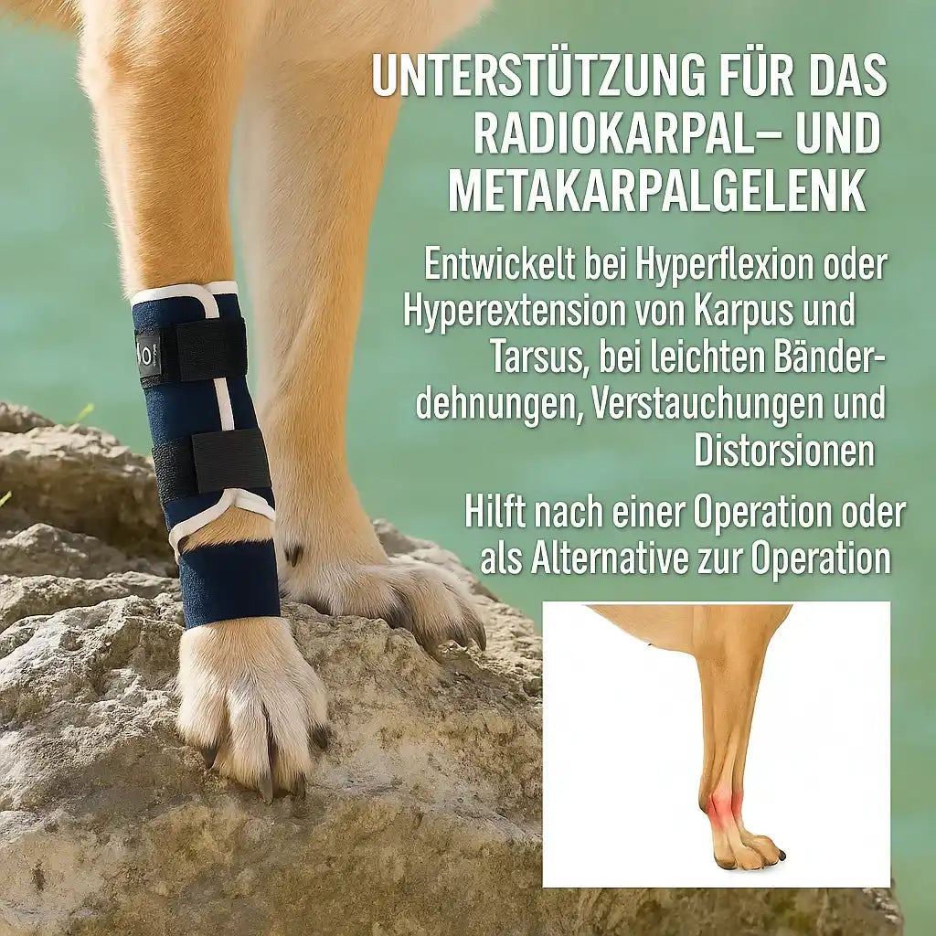 Orthese bei erschlaffung von Hand- oder Fußwurzel