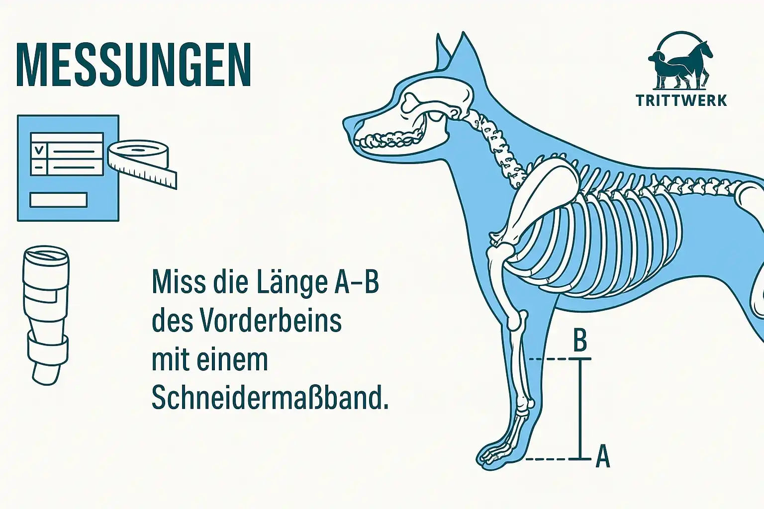Orthese bei erschlaffung von Hand- oder Fußwurzel
