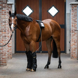 ACTIVOMED Magnetfelddecke + Massage Simply the Best inkl. 2 Stück Gamaschen, Größe XL