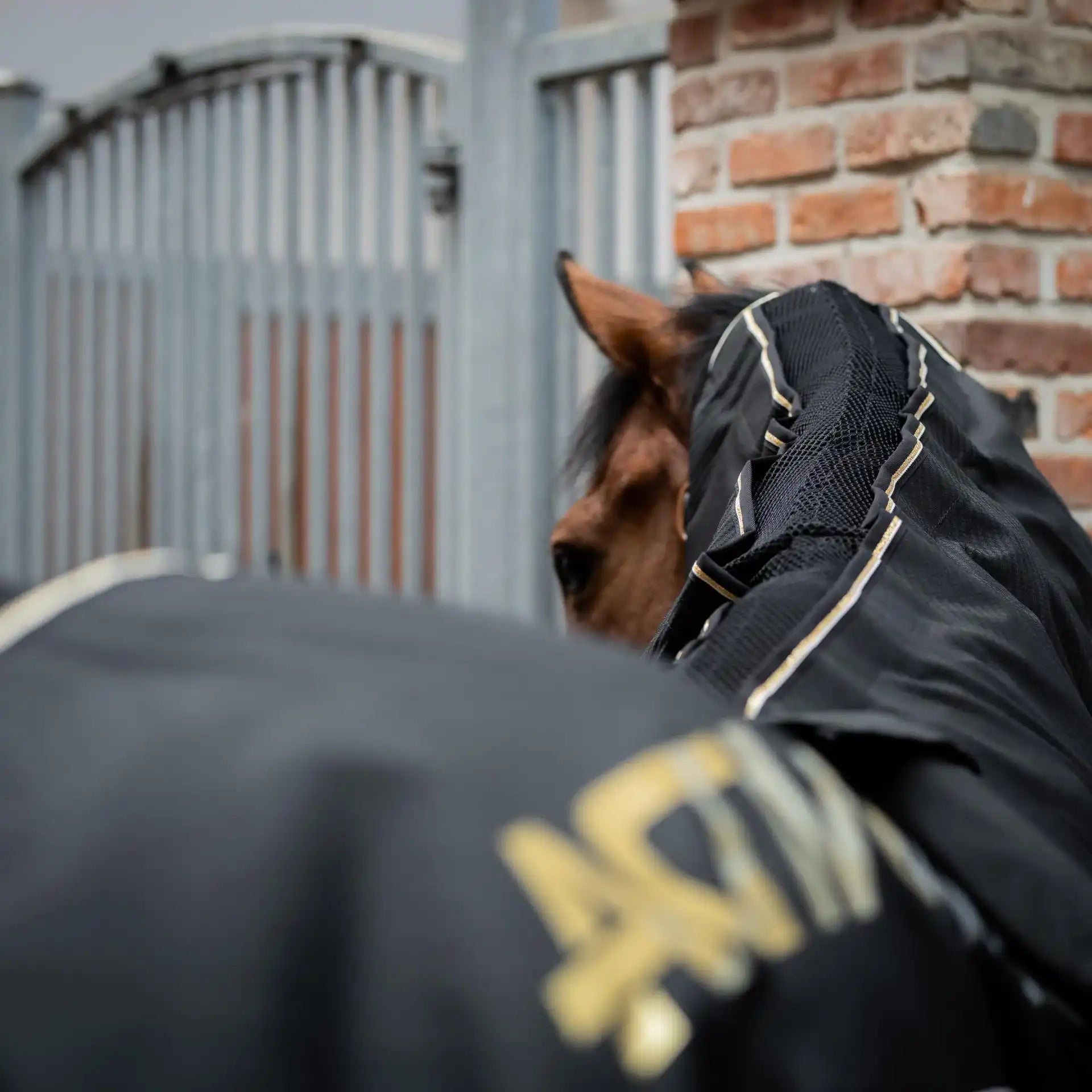 ACTIVOMED Magnetfelddecke + Massage Simply the Best inkl. 2 Stück Gamaschen, Größe XL