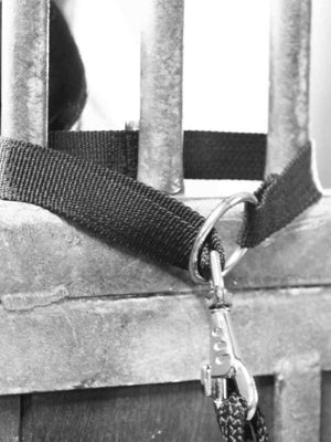 EQuest Universalhalterung ohne Verstellmöglichkeit