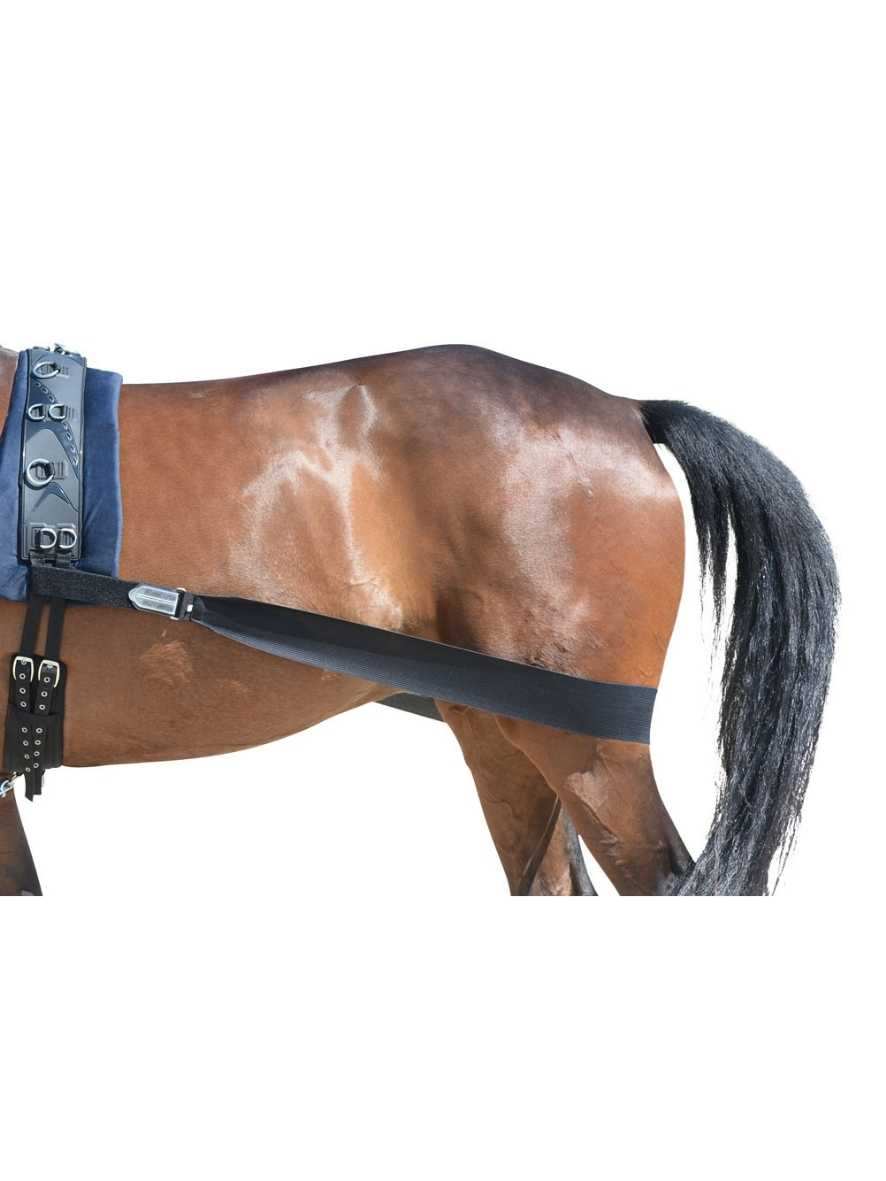 EQuest Körperbandage