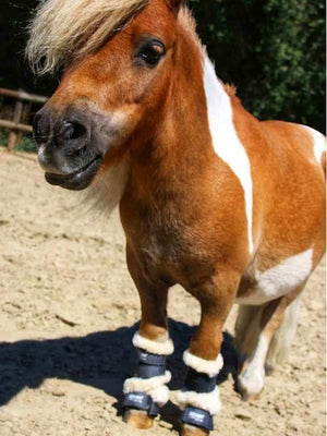 EQuest Hufglocke Melange MINI