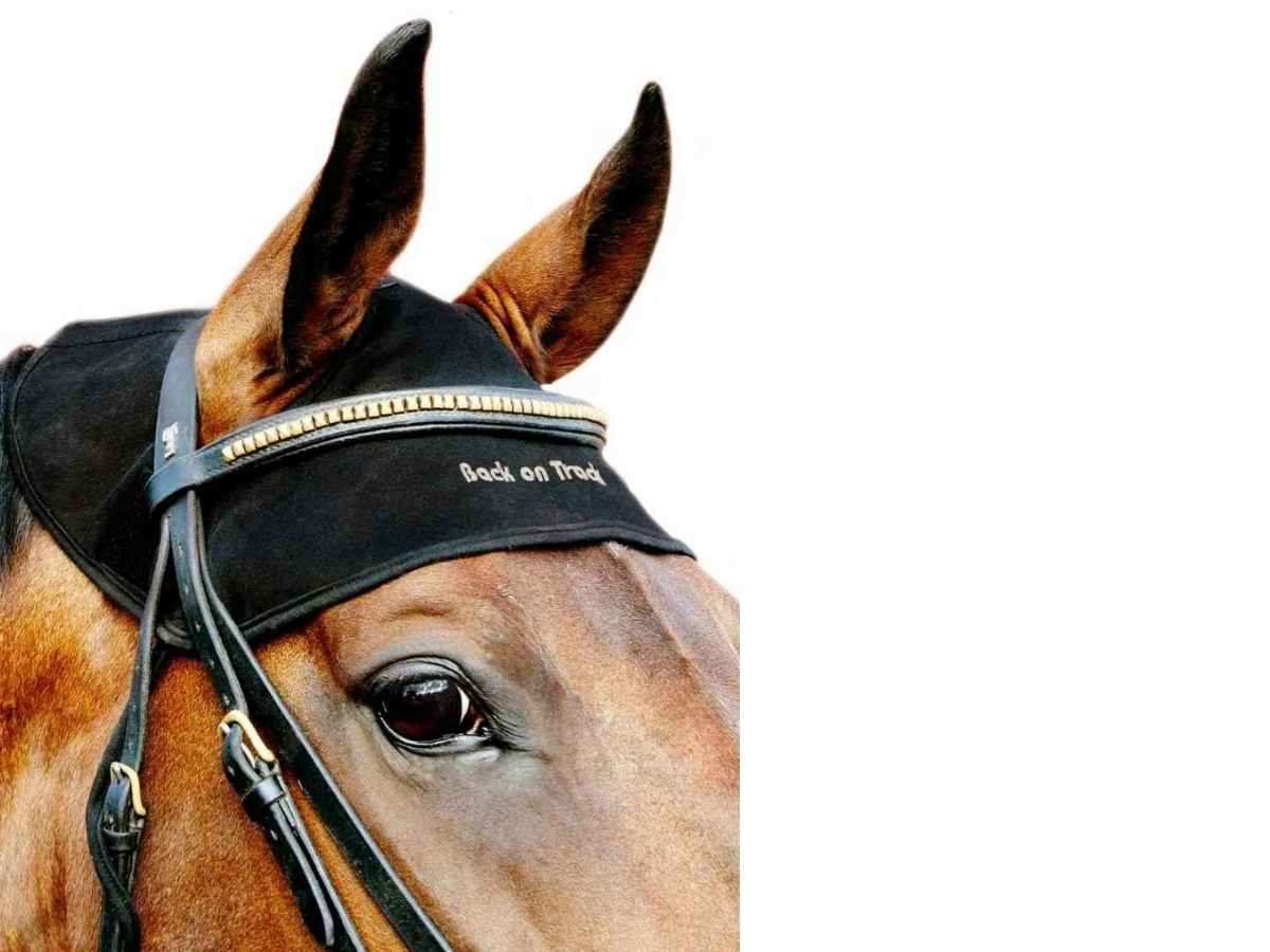 BACK ON TRACK Genickschoner für Pferde