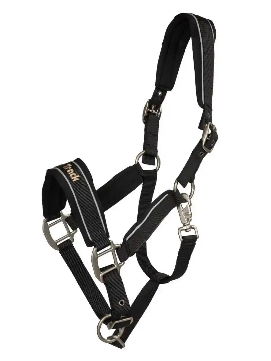 BACK ON TRACK Halfter Werano mit Reflektorstreifen