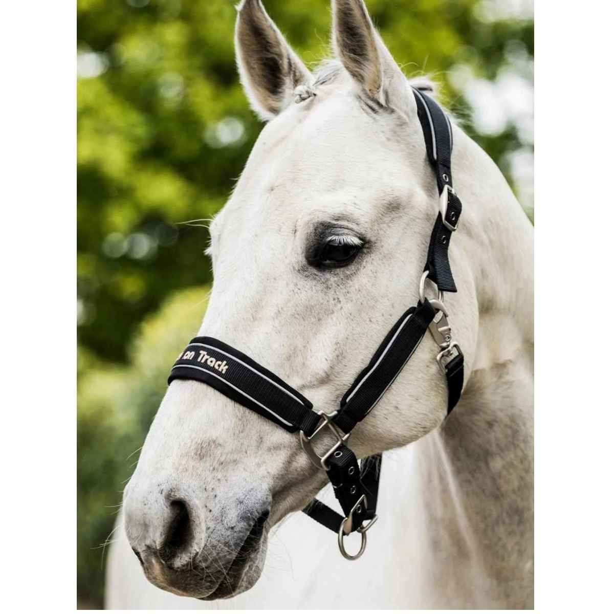 BACK ON TRACK Halfter Werano mit Reflektorstreifen