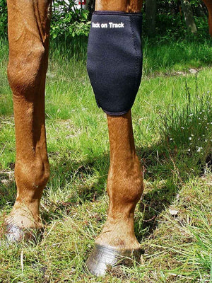 BACK ON TRACK Karpalgelenkschoner LINKS