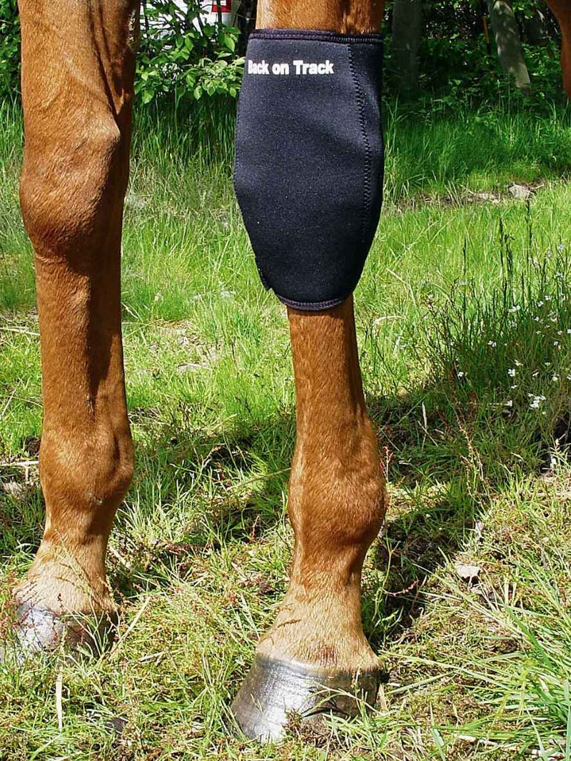 BACK ON TRACK Karpalgelenkschoner LINKS