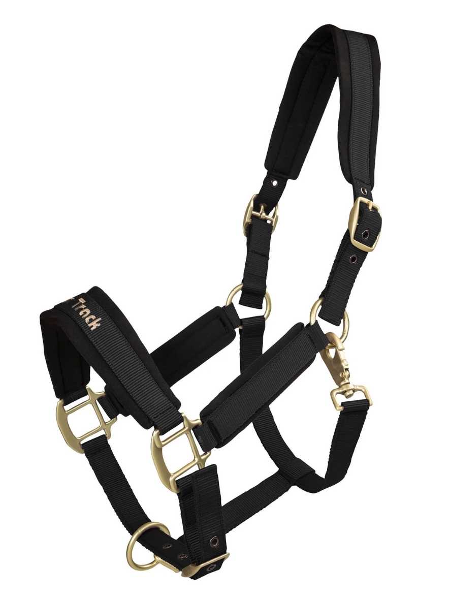 BACK ON TRACK Halfter Werano