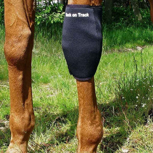 BACK ON TRACK Karpalgelenkschoner RECHTS