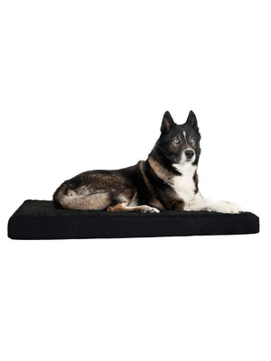 BACK ON TRACK Hundematratze