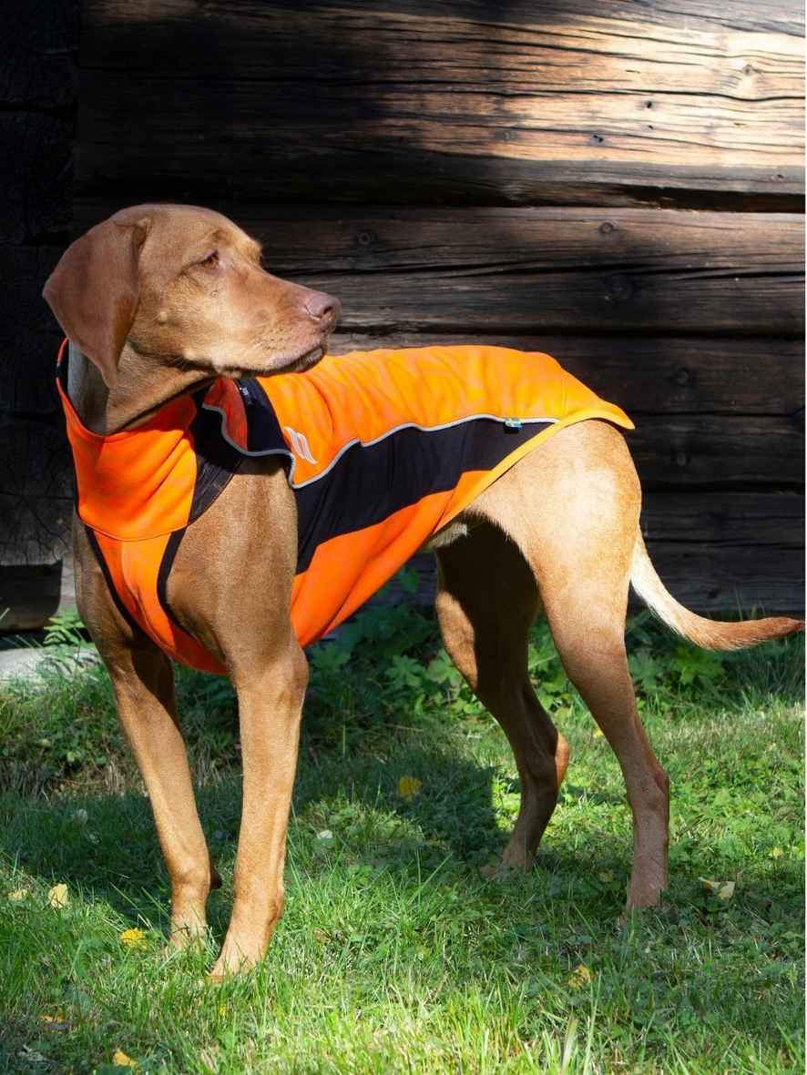 BACK ON TRACK Hundepullover Eddie reflektierend