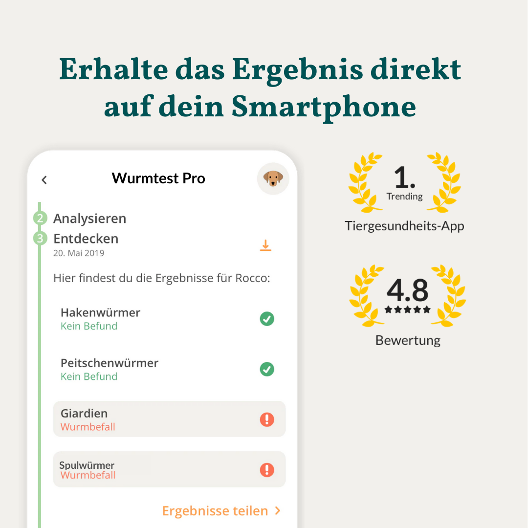 Wurmtest Plus Hund Sparpaket