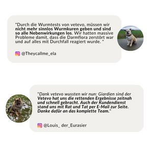 Wurmtest Basic Hund Sparpaket