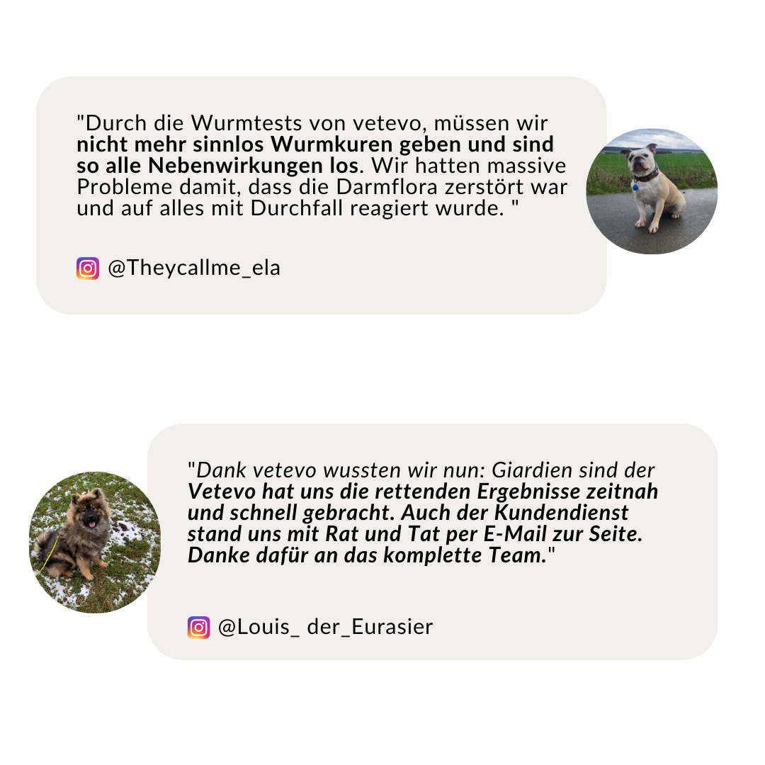 Wurmtest Plus Hund Sparpaket