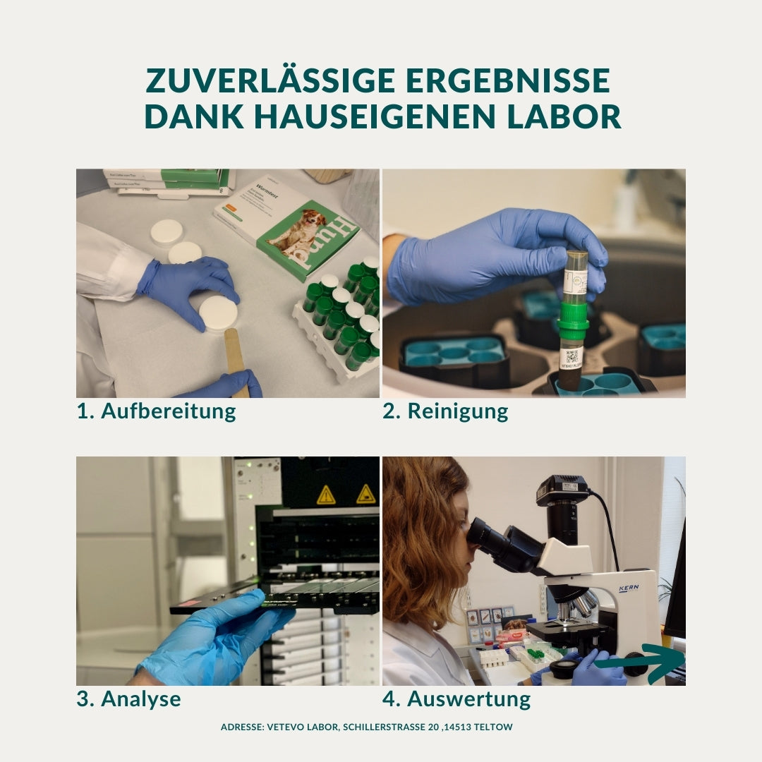 Wurmtest Plus Katze Sparpaket