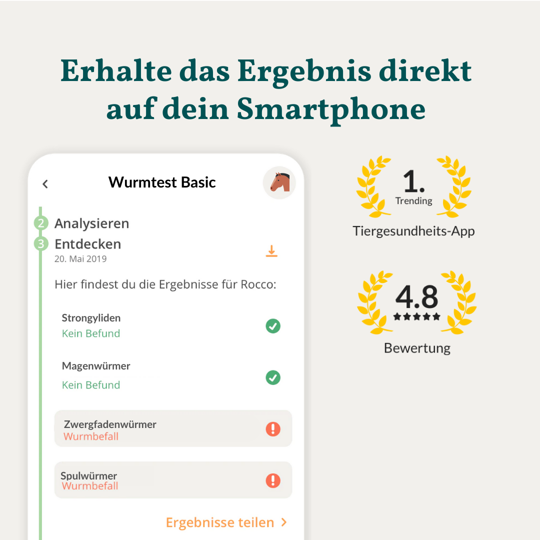 Wurmtest Basic Pferd
