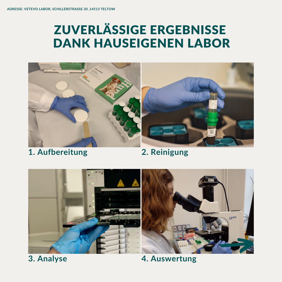 Wurmtest Plus Pferd Sparpaket