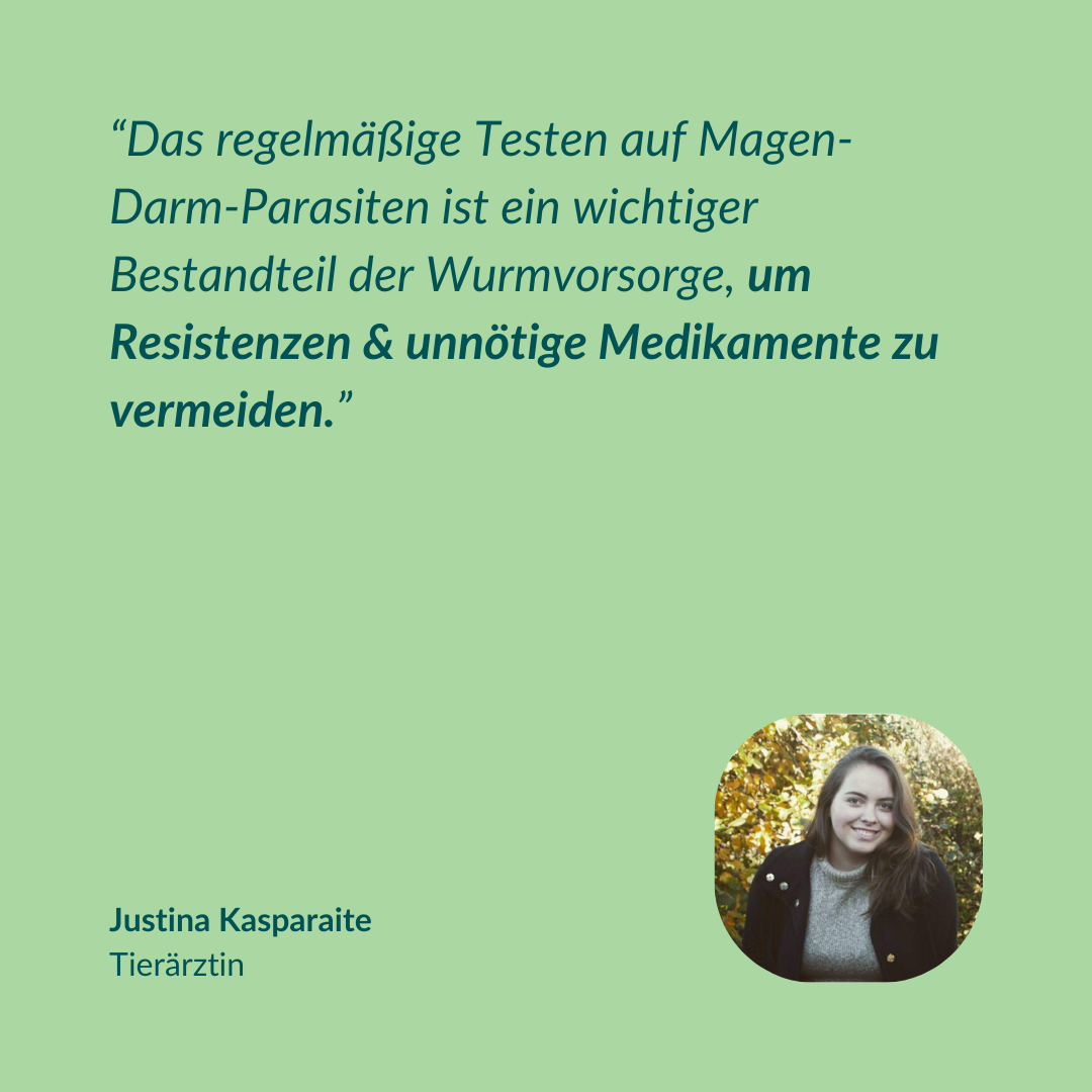 Wurmtest Pro Pferd