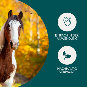 Wurmtest Plus Pferd Sparpaket