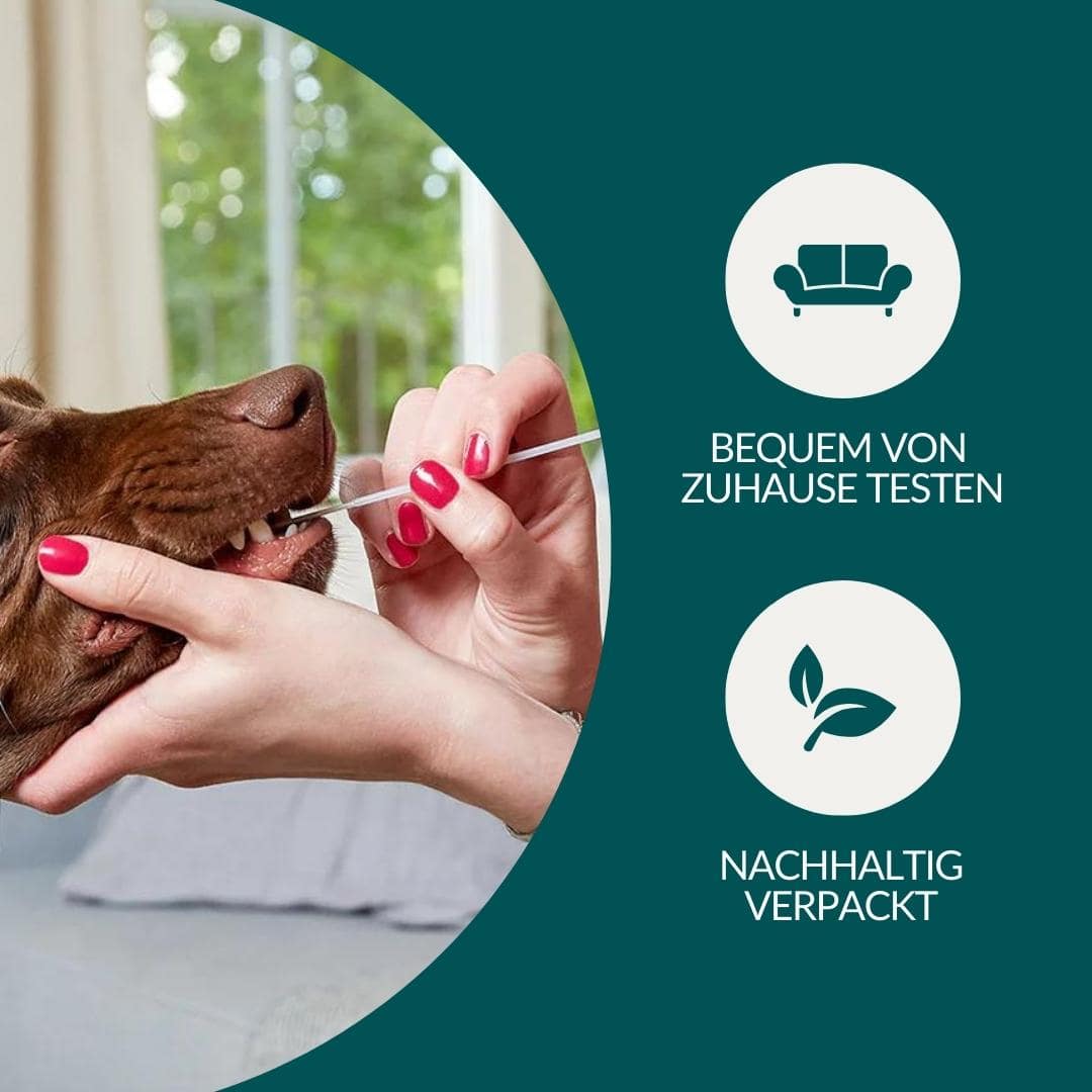 Allergietest Basic Hund