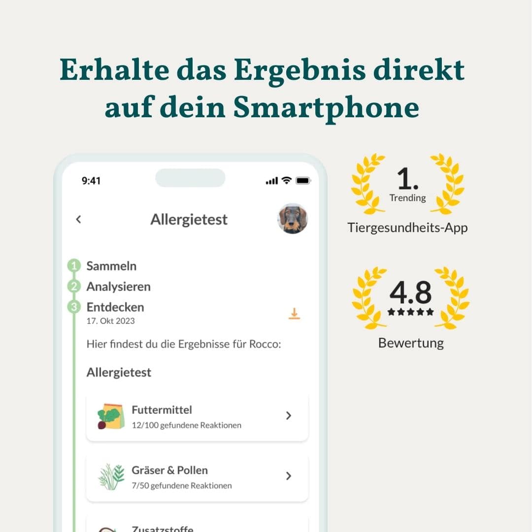 Allergietest Plus Hund