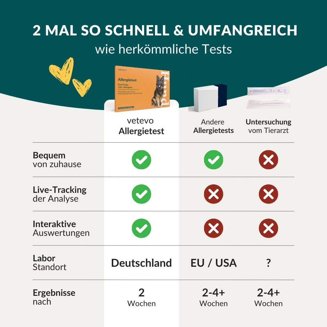 Allergietest Pro Hund