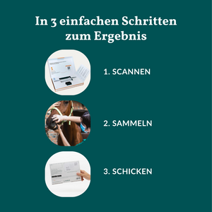 Allergietest - Konservierungsstoffe Pferd