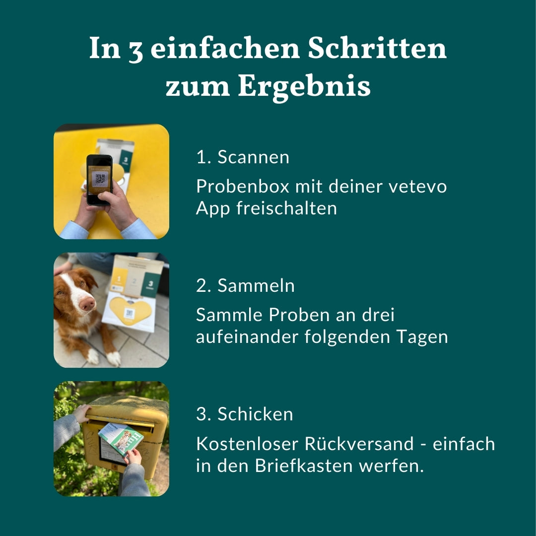 Wurmtest Plus Hund Sparpaket